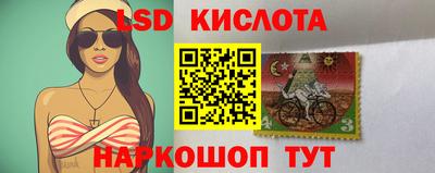 амф Дубна