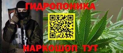 амф Дубна