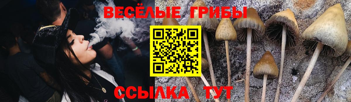 Галлюциногенные грибы мицелий  Псилоцибиновые грибы мухоморы  Вход с VPN  Новочебоксарск 